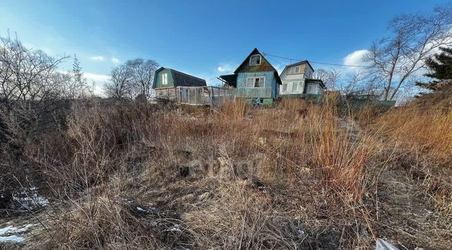 снт Экспресс Надеждинский район фото