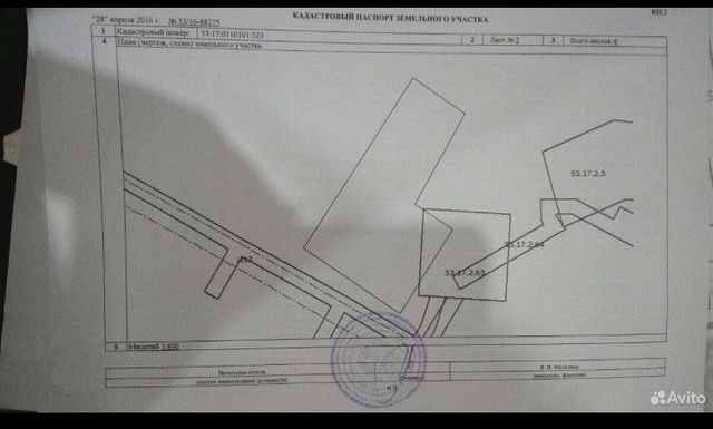 земля деревня Анишино-1 фото