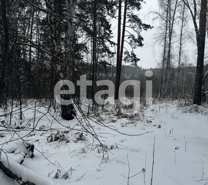 земля г Красноярск городской округ Красноярск, СНТ Ветеран-6А фото 4