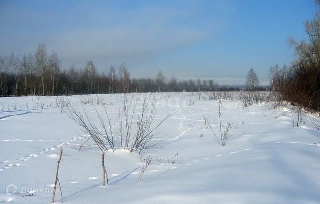 городской округ Сосновоборск, Сосновоборск фото