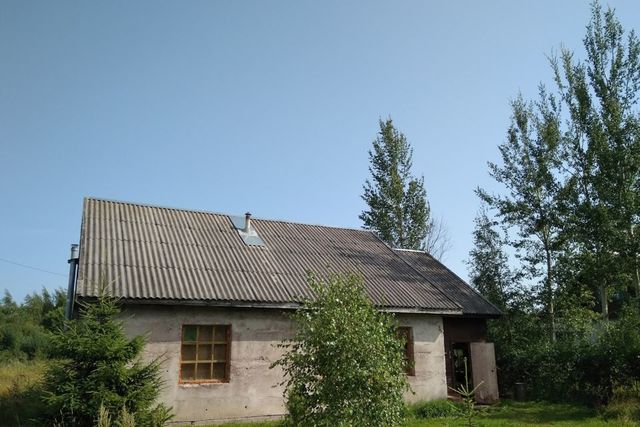 деревня Куряево фото