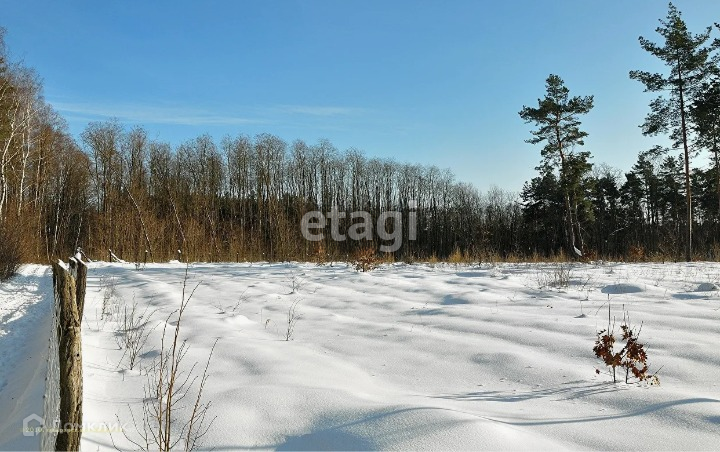 земля г Казань ул Центральная 37 городской округ Казань фото 2