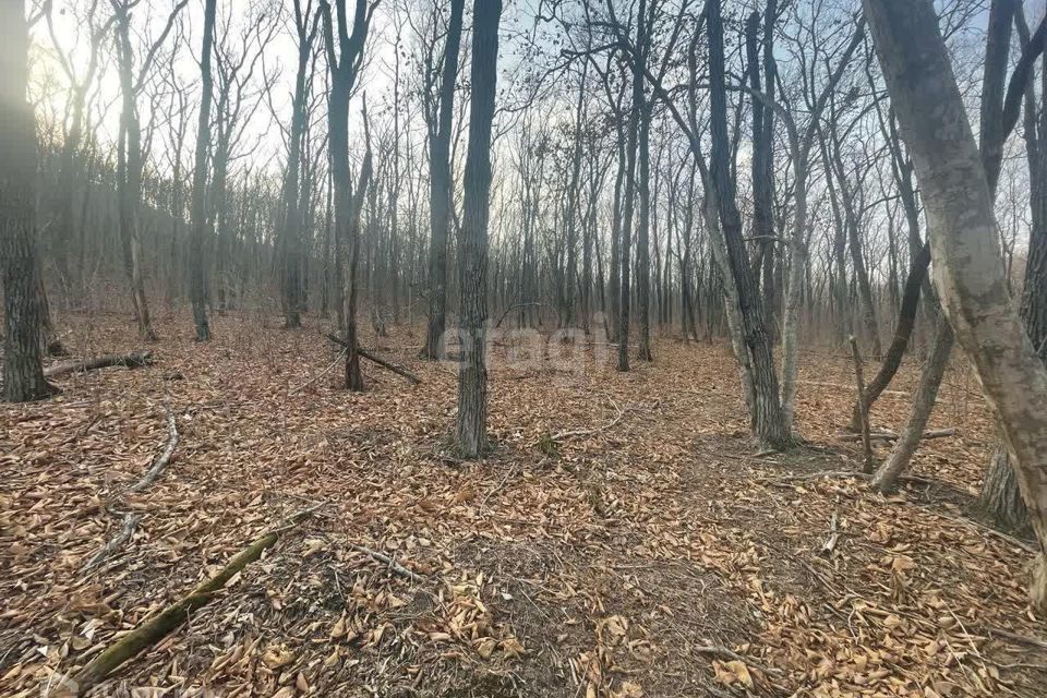 земля г Владивосток Владивостокский городской округ, микрорайон Емар фото 5