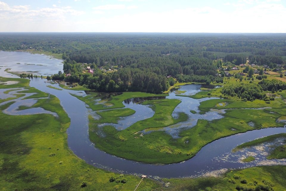 земля р-н Пеновский деревня Заречье фото 7