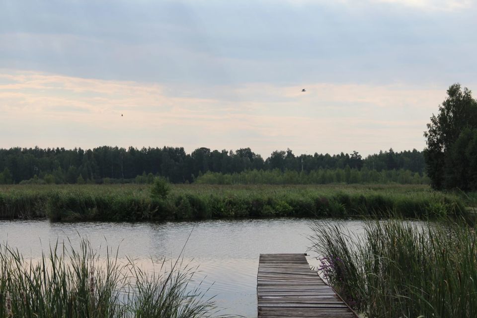 земля г Озерск Озерский городской округ, СПК № 3 Зелёный мыс фото 7