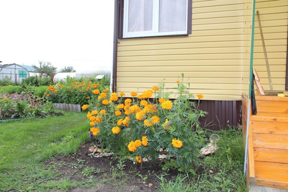 земля г Озерск Озерский городской округ, СПК № 3 Зелёный мыс фото 9