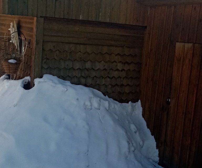 дом городской округ Зеленогорск, садоводство № 3, 8-я улица фото 7