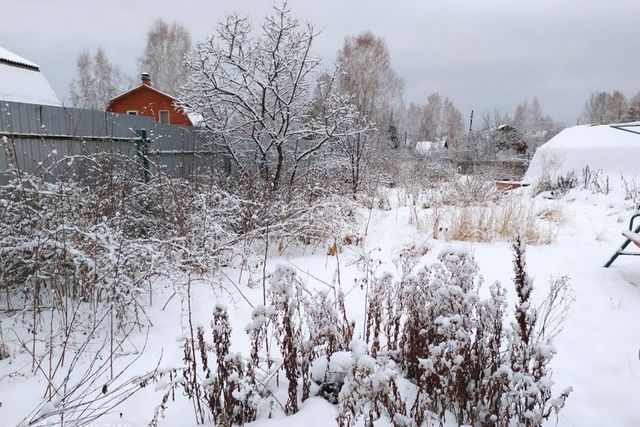 Екатеринбург, ССК Рассвет-1, 97 фото