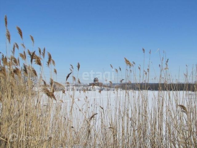 село Вязовка фото