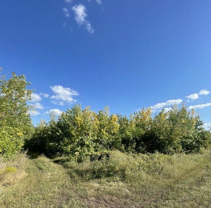 земля г Кинель пгт Усть-Кинельский СХИ СДТ, Самарский фото 3