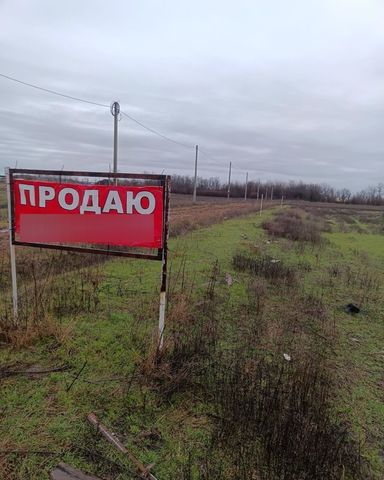 земля Нововеличковское сельское поселение фото