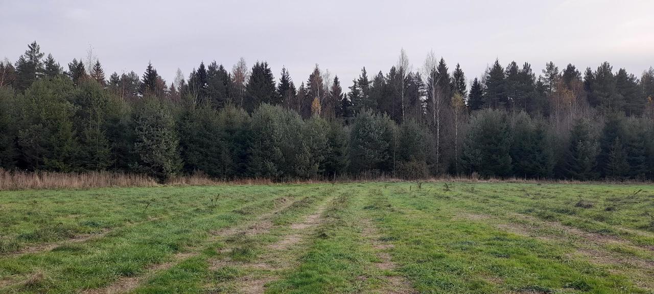 земля г Клин фото 4