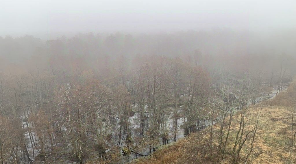 квартира р-н Зеленоградский г Зеленоградск ул Большая Окружная 2б фото 8