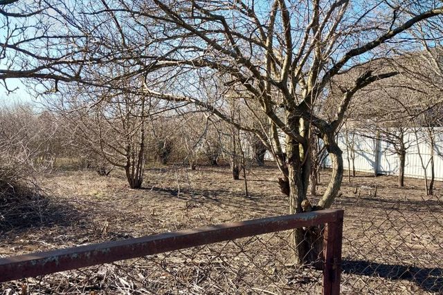 городской округ Ростов-на-Дону, садовое товарищество Агропром фото