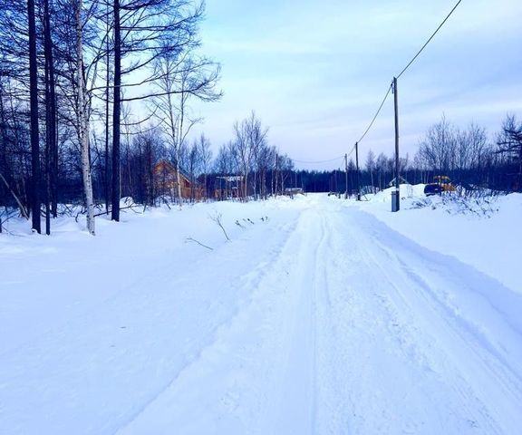 городской округ Южно-Сахалинск, СНТ Здоровье фото