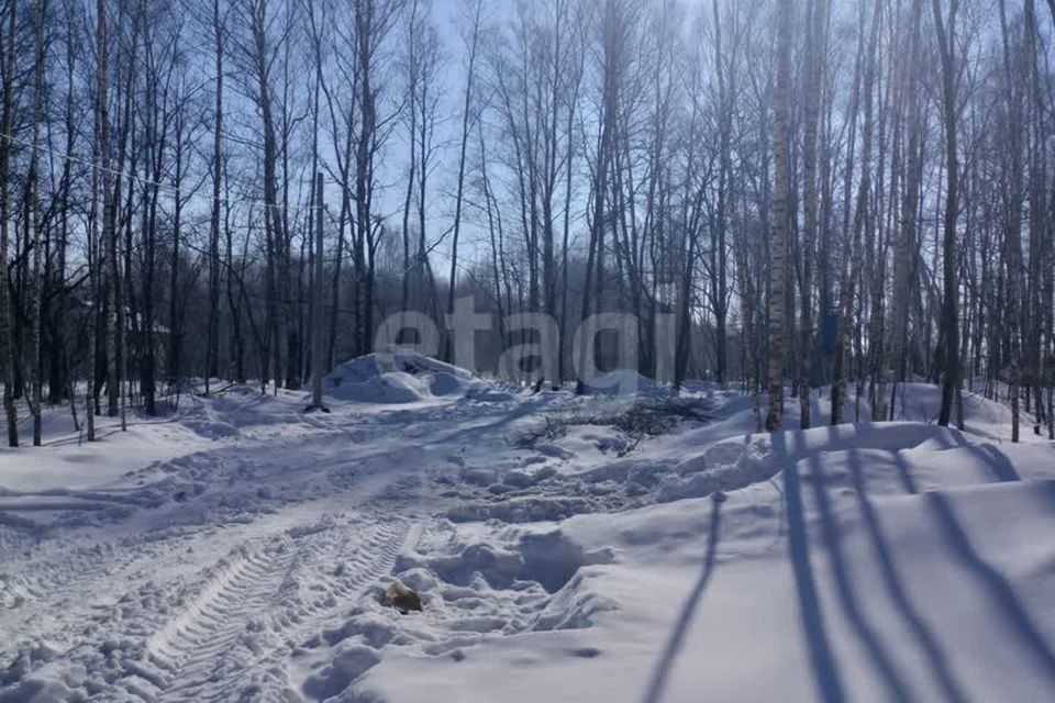 земля муниципальное образование Тула, село Частое фото 2