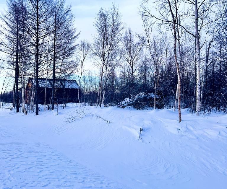 земля г Южно-Сахалинск городской округ Южно-Сахалинск, СНТ Здоровье фото 3