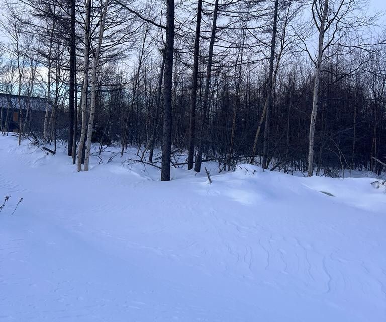 земля г Южно-Сахалинск городской округ Южно-Сахалинск, СНТ Здоровье фото 5