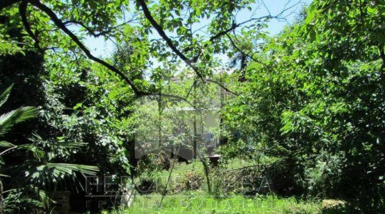 земля г Сочи с Хлебороб Садоводческое товарищество Яблоневый сад фото 4