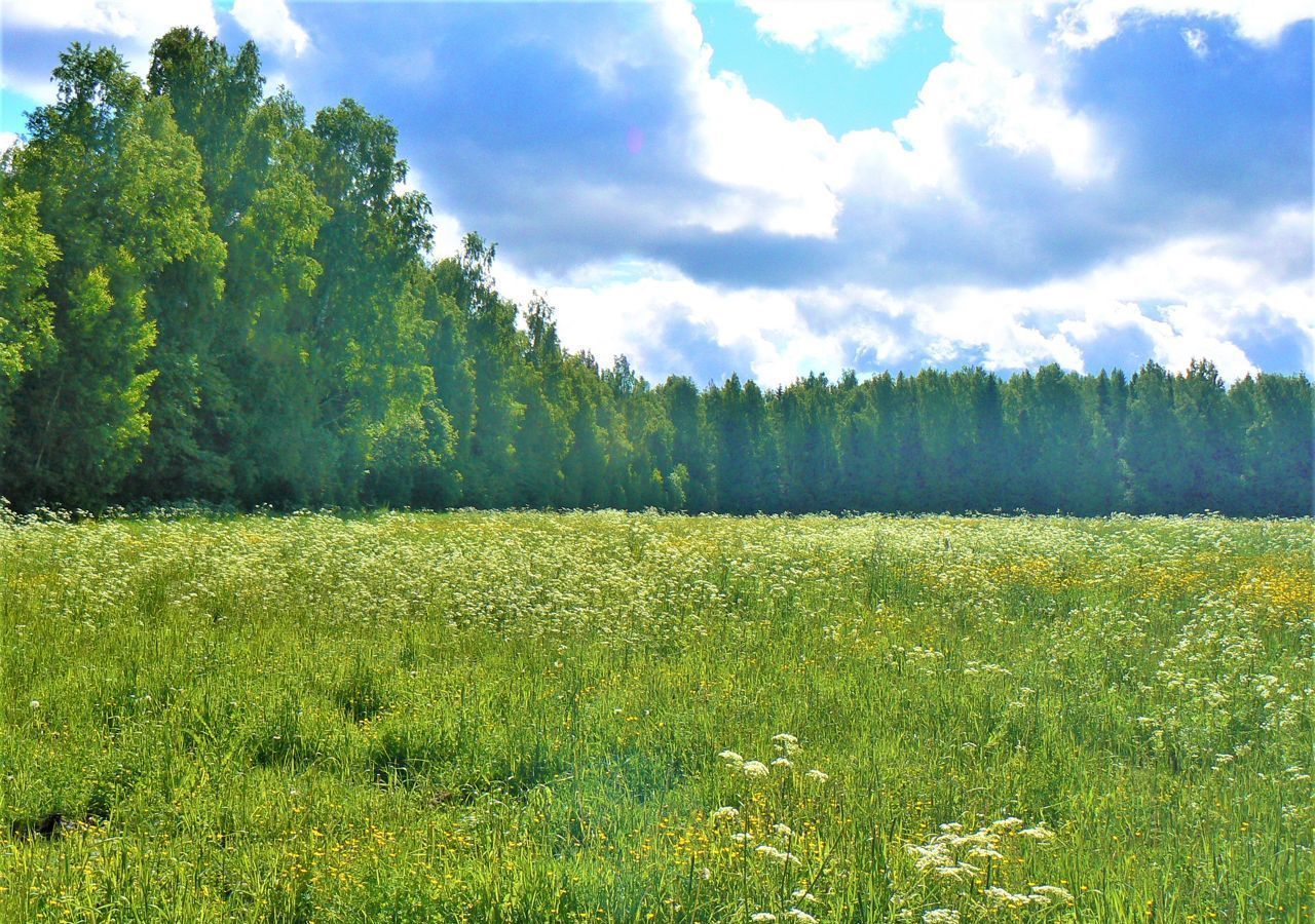 земля г Серпухов ул Дальняя 9798 км, Симферопольское шоссе фото 3