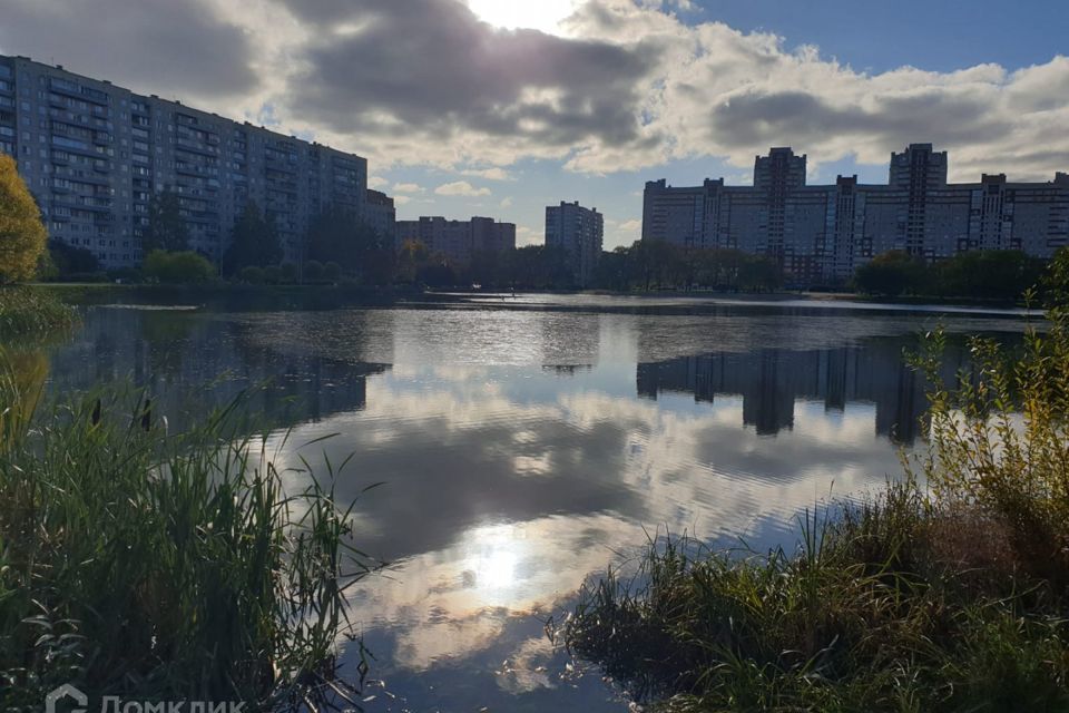 квартира г Санкт-Петербург ул Ивана Фомина 13к/1 Выборгский район фото 8