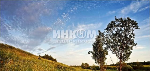 земля с Панковичи Протасовское муниципальное образование фото