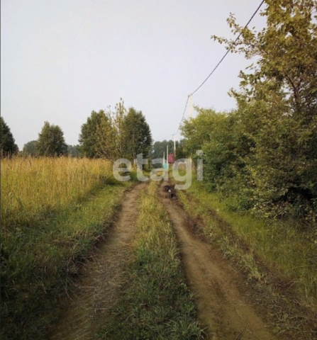земля городской округ Бердск, садоводческое некоммерческое товарищество собственников недвижимости Ива фото