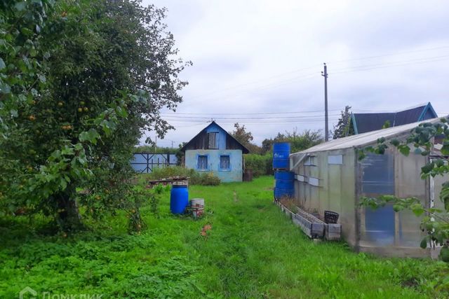 земля городской округ Калининград фото