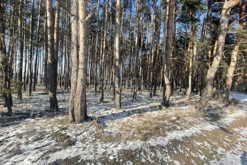 земля г Воронеж городской округ Воронеж, Посёлок, улица Дачный, 1А фото 2