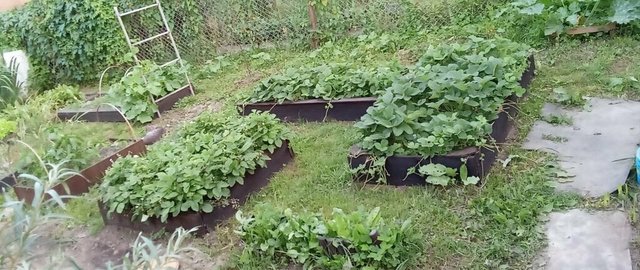 дом Железнодорожная, 59 фото