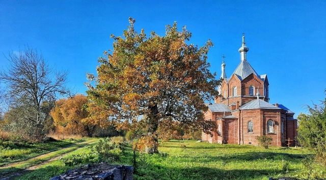 земля д Новые Дубяги Черневская волость фото