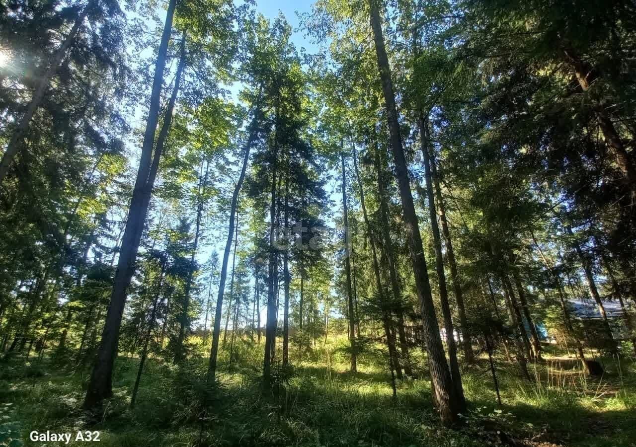 земля городской округ Одинцовский г Звенигород фото 7