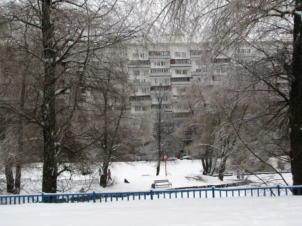 квартира г Пушкино снт Зеленоград Панфиловский проспект, 162 фото 22
