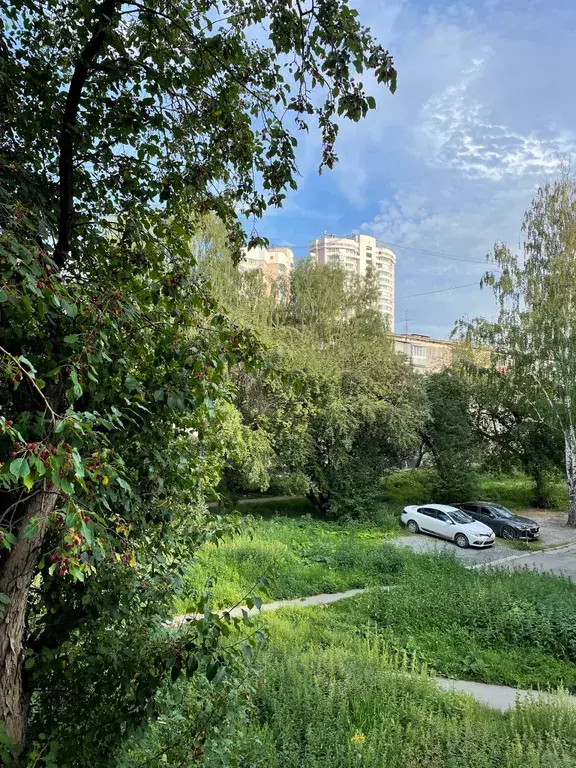 квартира г Екатеринбург ул Белинского 220 Ботаническая, к 2 фото 15