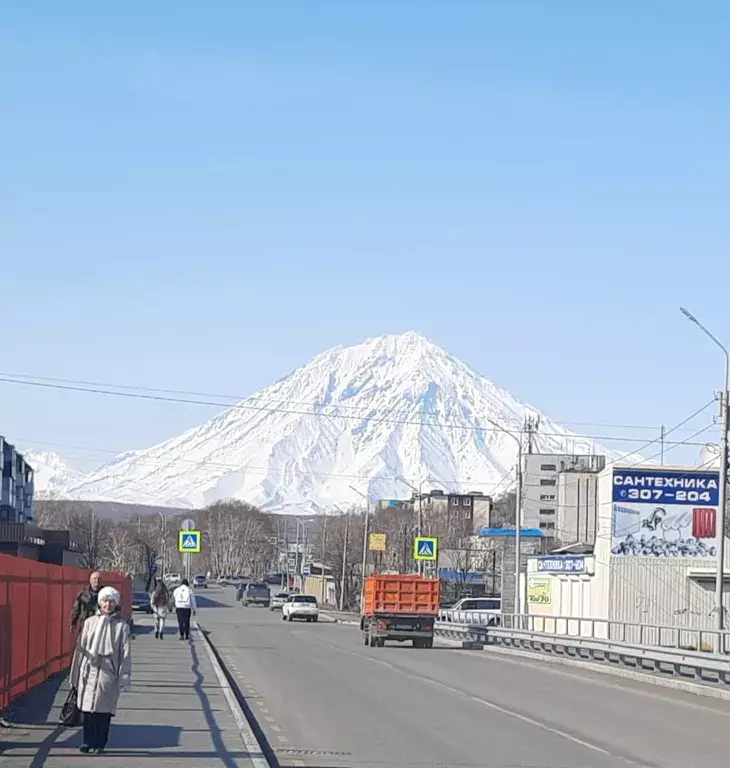 квартира г Петропавловск-Камчатский ул Абеля 17 фото 15