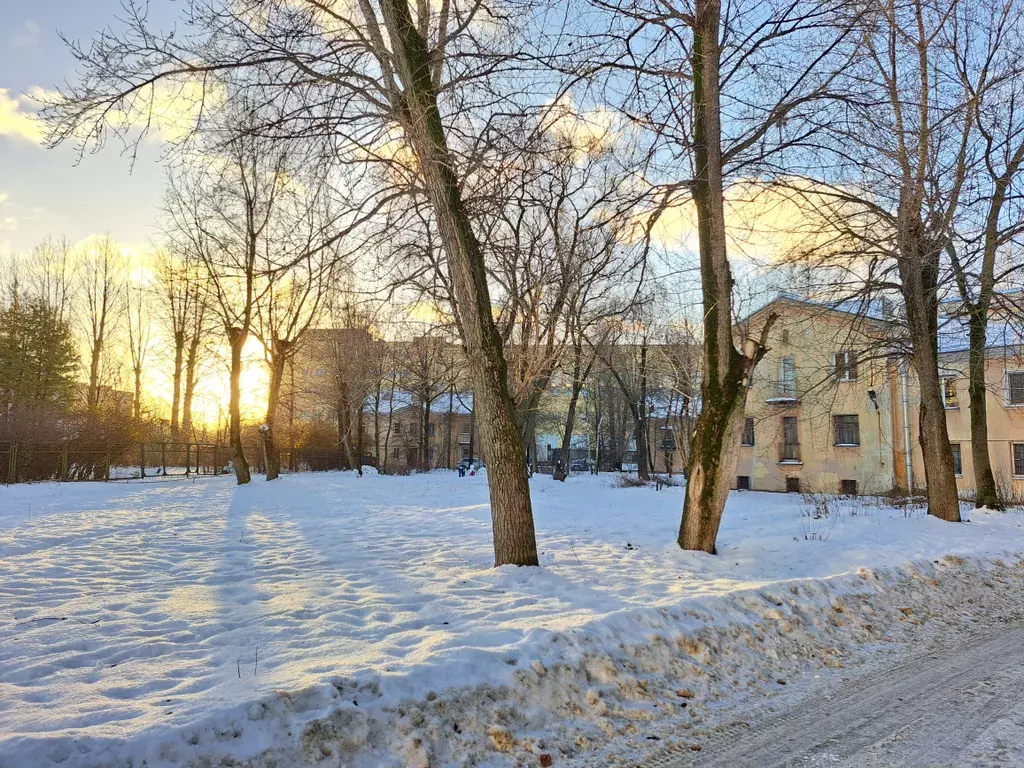 квартира Санкт-Петербург, Звёздная, Московское шоссе, 44, к 1 фото 22