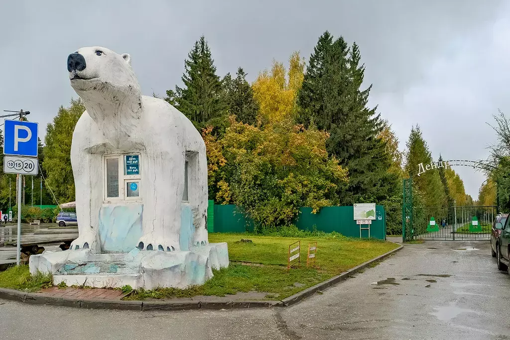 квартира г Новосибирск ул Челюскинцев 14 Гагаринская фото 21