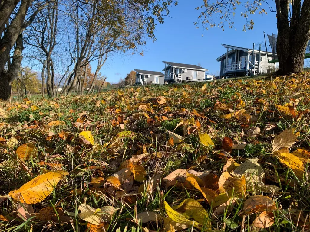 дом г Великий Новгород ул Новгородская 3а деревня Дубовицы фото 12