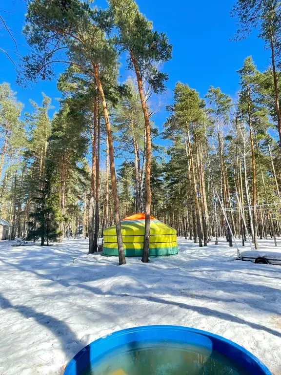 дом городской округ Богородский п Горбуша б/н, Лосино-Петровский фото 8