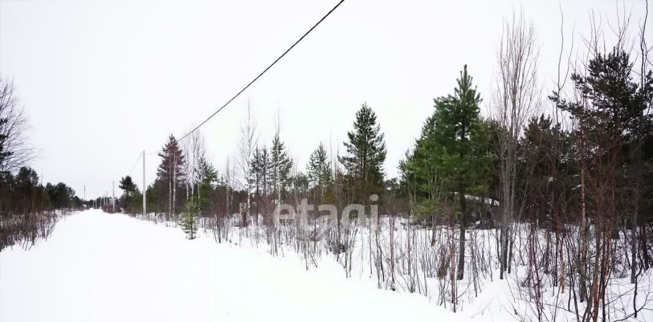 земля г Северодвинск снт Двина-1 ул 11А 2 муниципальное образование фото 2