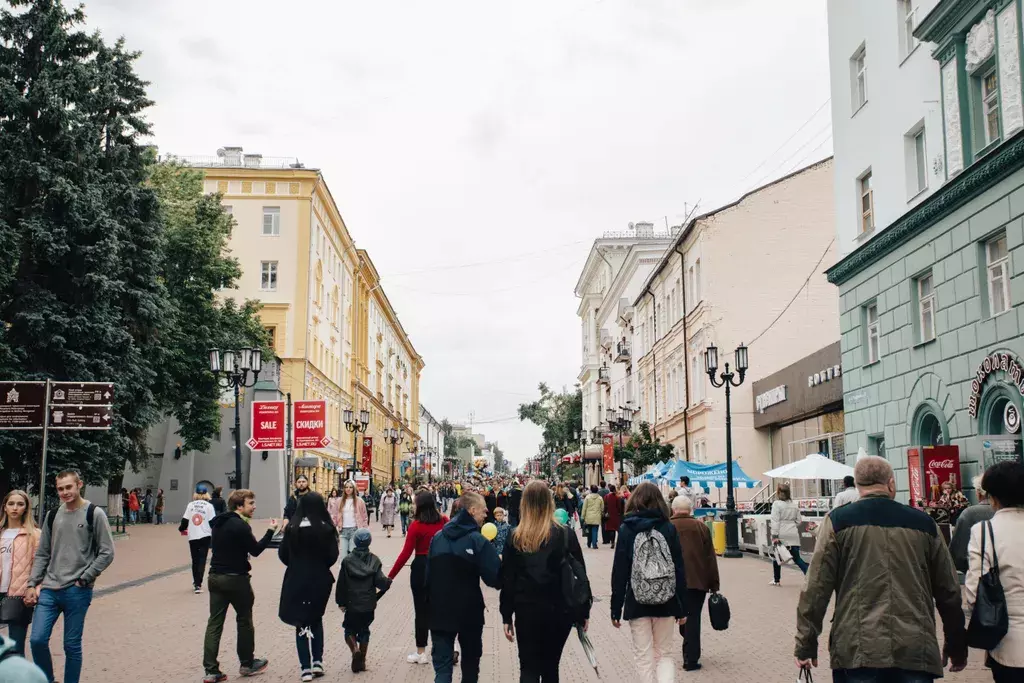 квартира г Нижний Новгород ул Грузинская 12б Горьковская фото 27