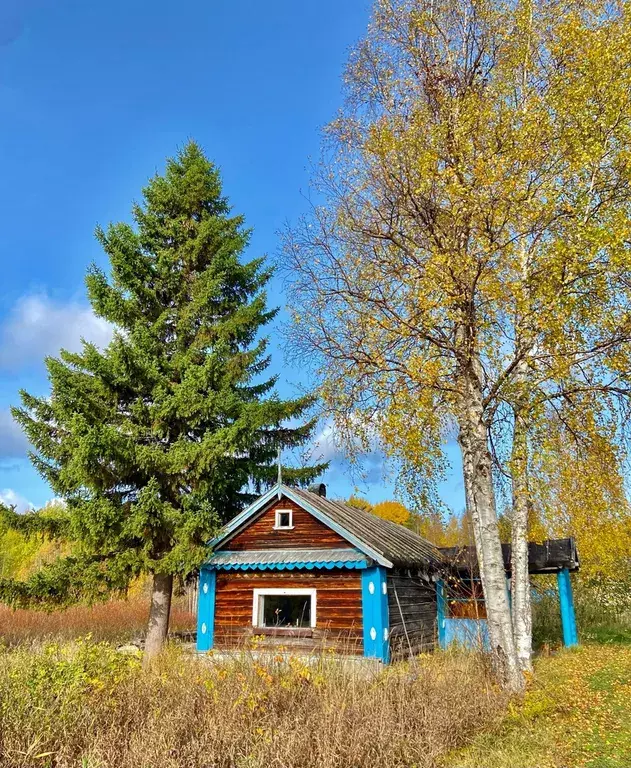 дом г Северодвинск урочище Амбурское территория, 1 фото 1