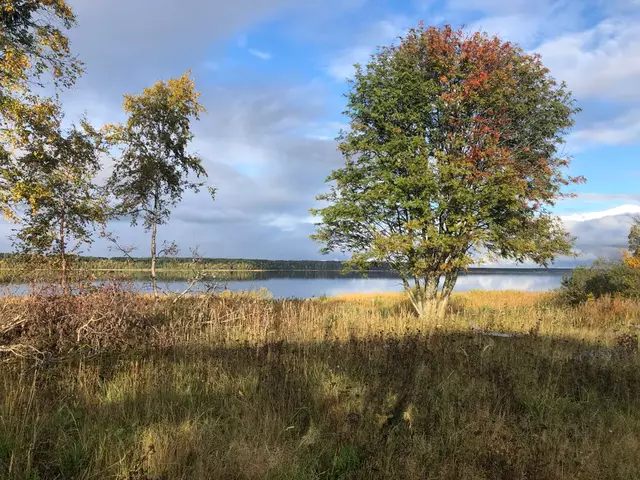 дом д острова Лункулансаари ул Центральная 2 Салми фото