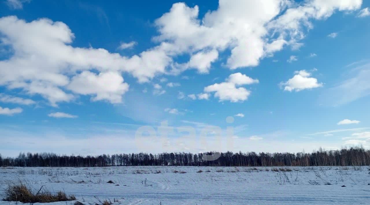 земля р-н Нерехтский г Нерехта ул Тургенева фото 4