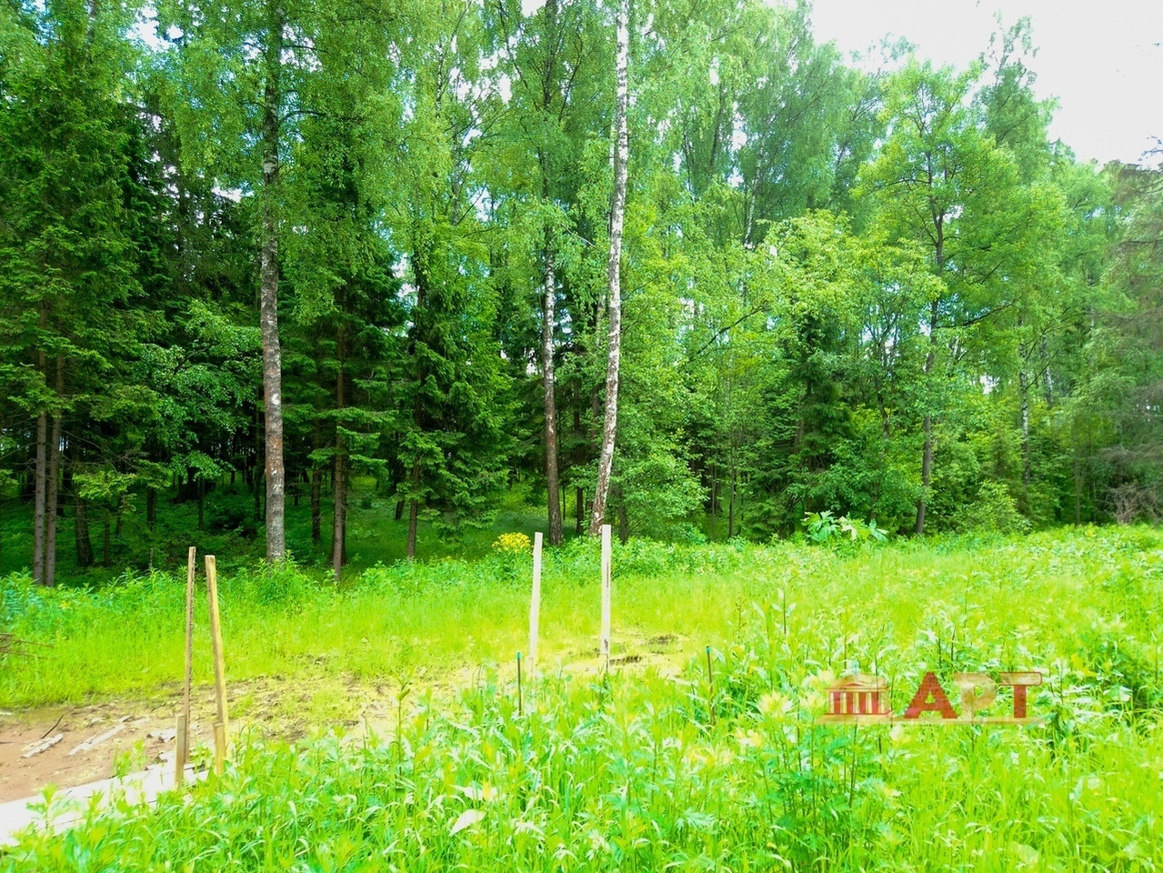 земля г Воскресенск тер Лесные Зори Лесные зори КП, КП Западная ул фото 6