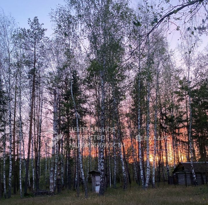 дом р-н Клепиковский д Лункино Ненашкинское с/пос, 24 фото 13