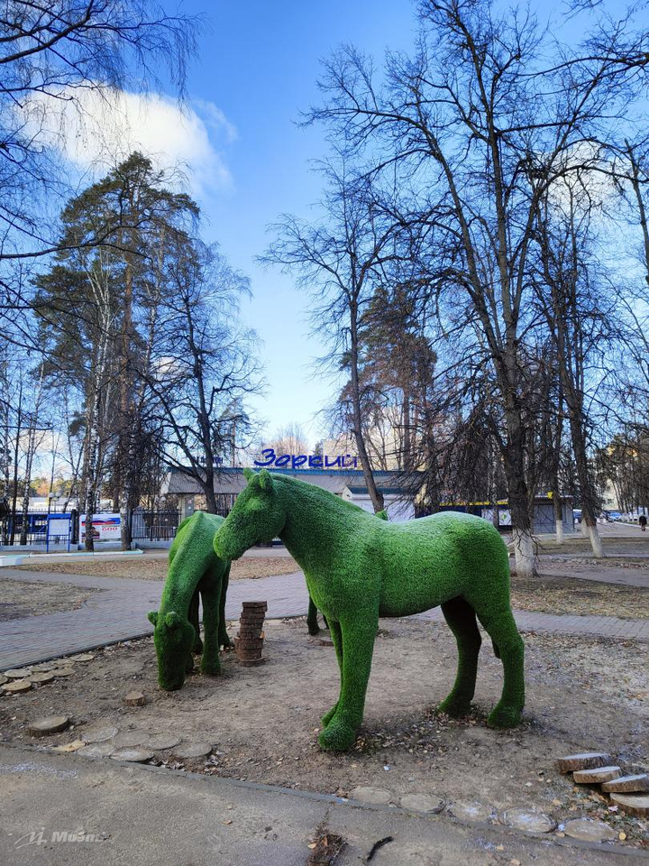 квартира г Красногорск Павшино ул Октябрьская 14 МЦД-2 фото 20