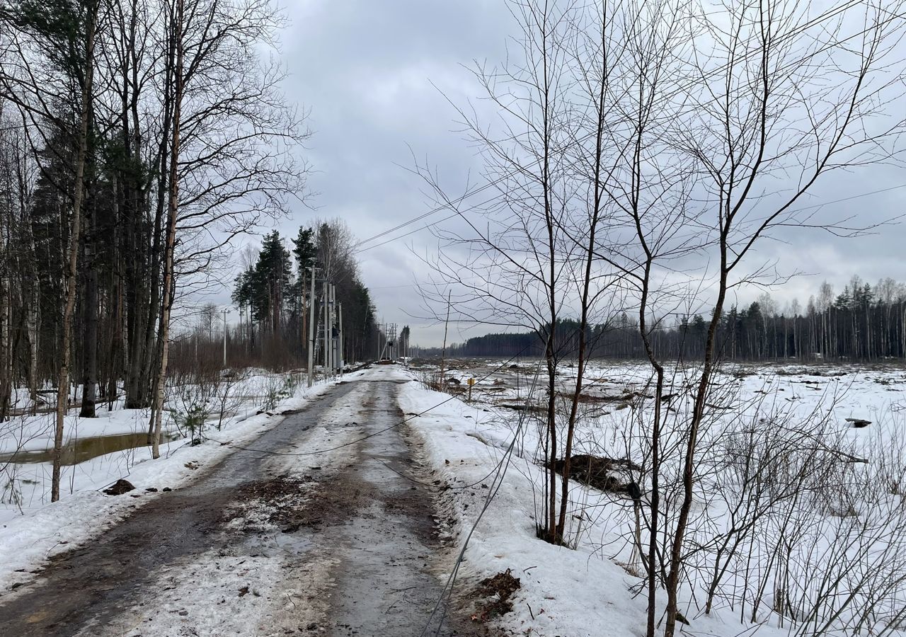 земля р-н Всеволожский г Всеволожск Всеволожское городское поселение фото 6