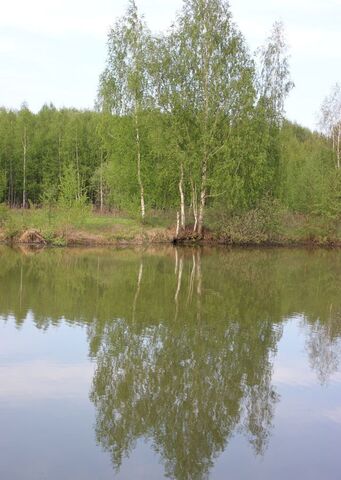 земля Егорьевск фото