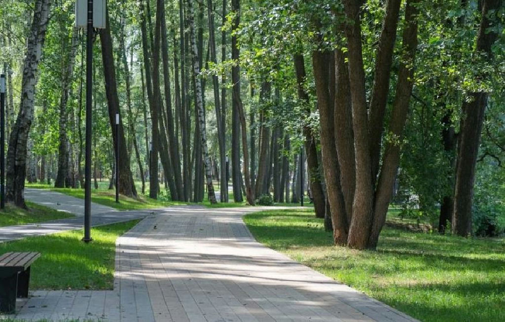 дом городской округ Люберцы рп Малаховка пгт 1-я Дачная ул., 2 фото 30